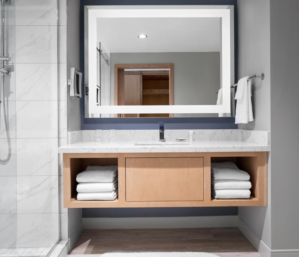 Standard Shower and Vanity