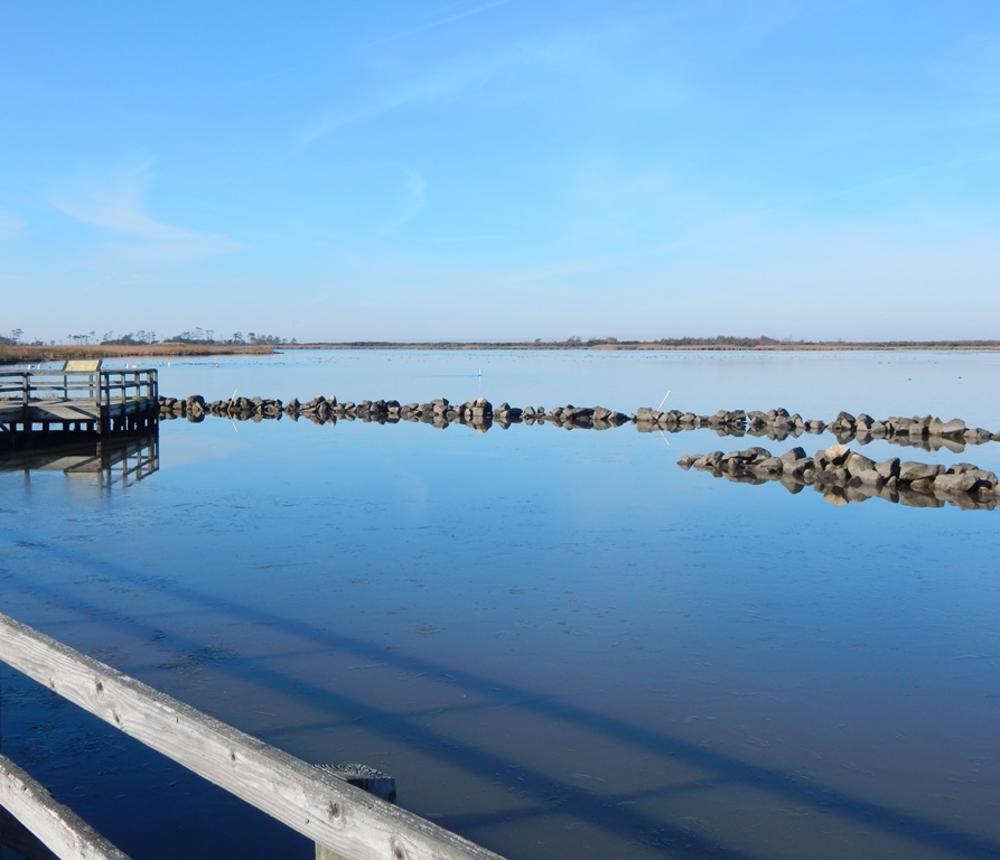 Calm Bay in the Morning