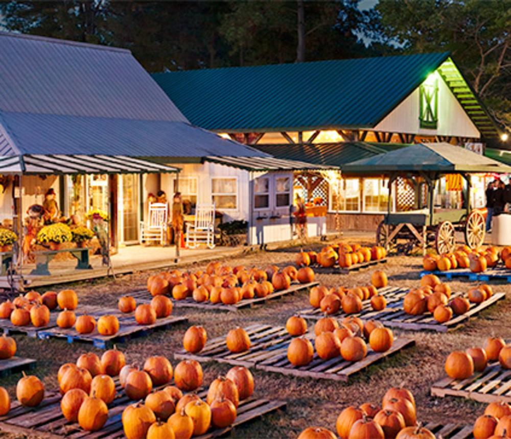 Harvest Fair Farm Market at Hunt Club Farm