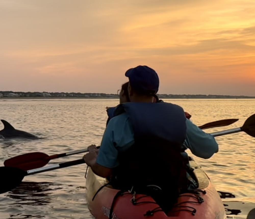 Dolphin Tours Virginia Beach