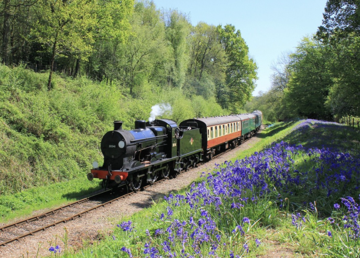Bluebell railway steam train travelling past bluebell woods in Sussex