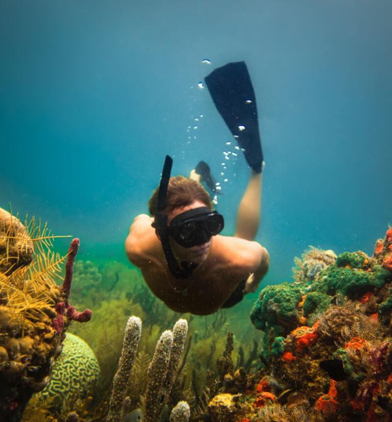Diver exploring a coral reef in the Caribbean waters of Bocas del Toro, Panama.