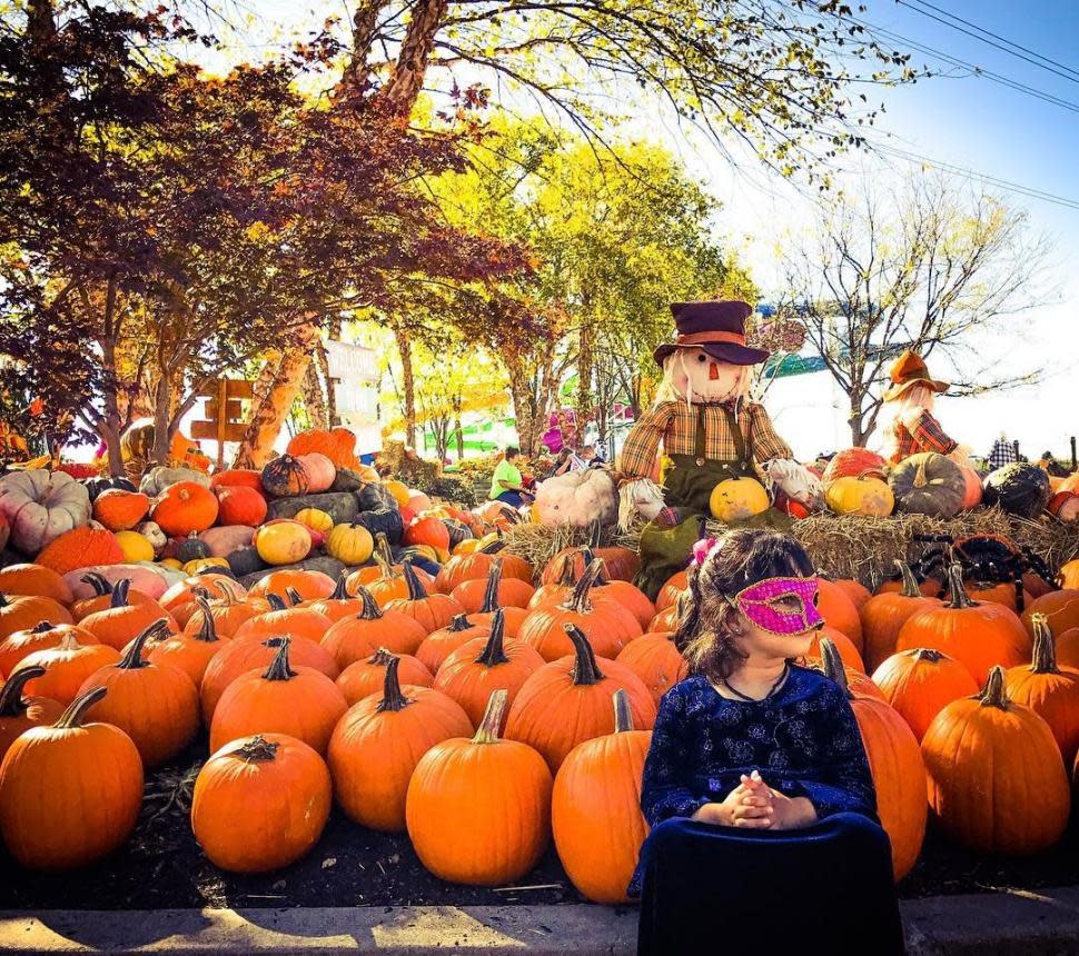 Wheels on the Bus to the Halloween Pumpkin Patch