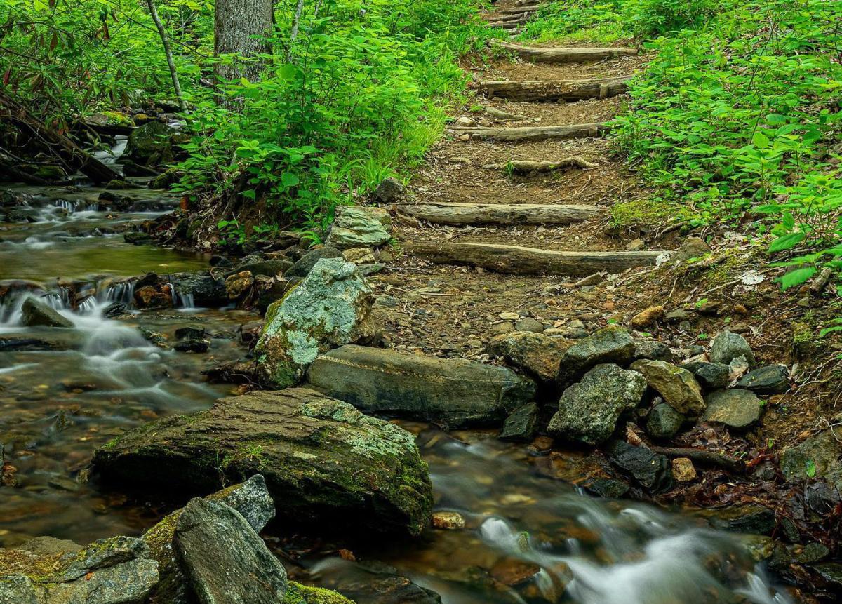 Water runs down creek in front of trail steps on Rattlesnake Lodge Trail