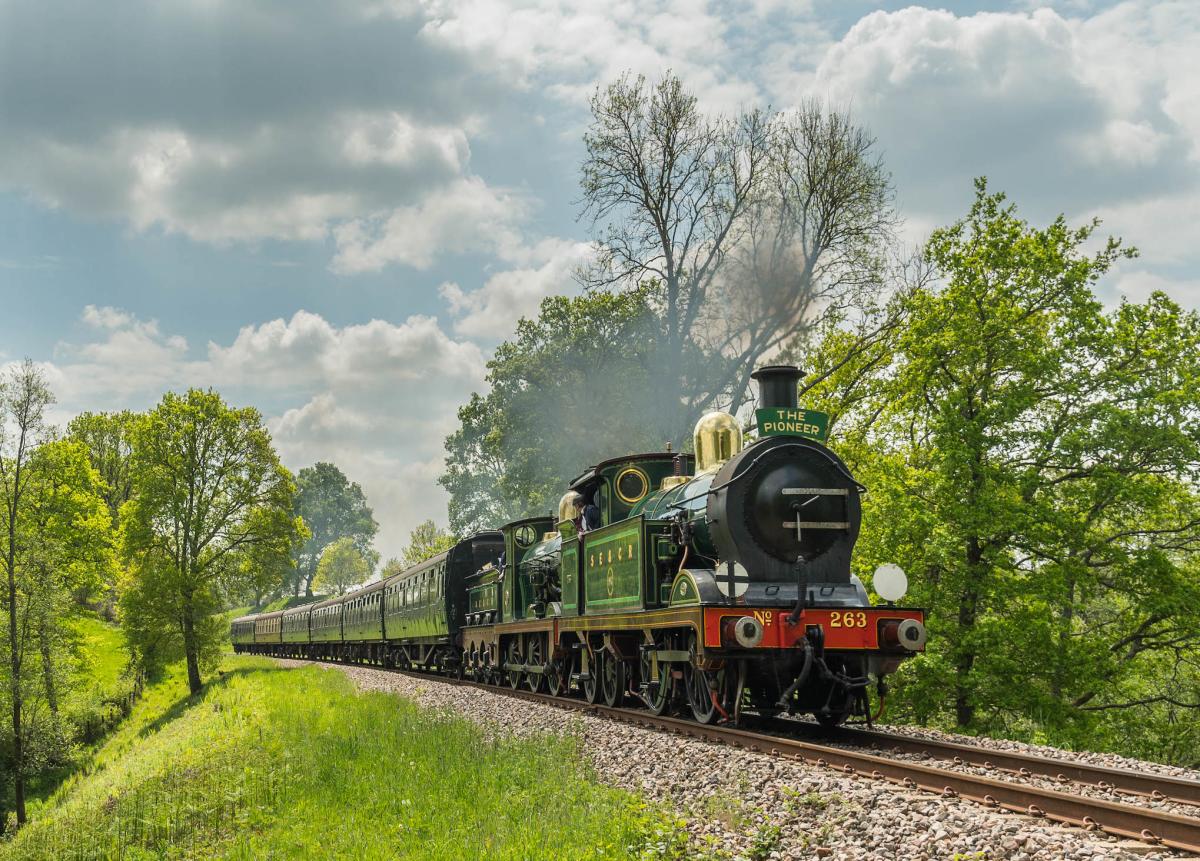 A green steam train travelling through the trees on Bluebell Railway, Sussex