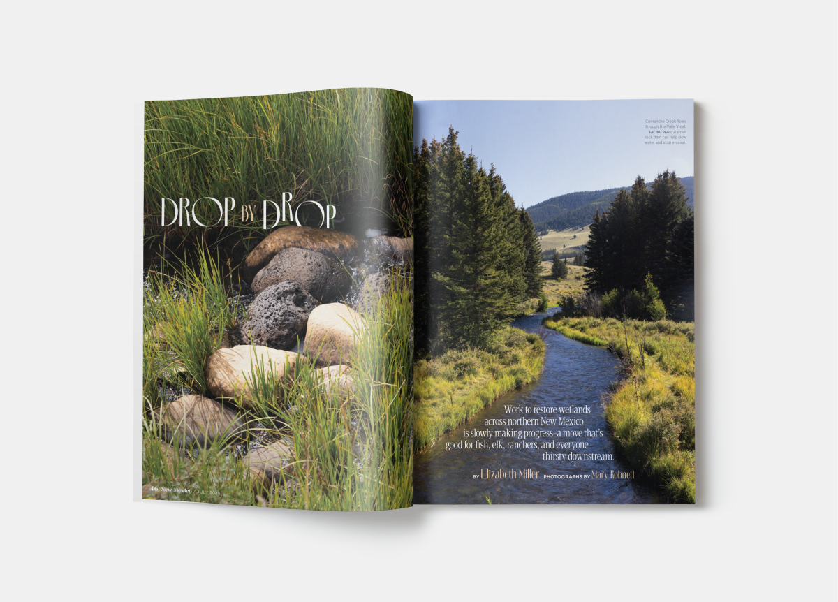 Magazine spread titled “Drop by Drop” featuring close-up wetland rocks on one page and a winding creek in a forested valley on the other.