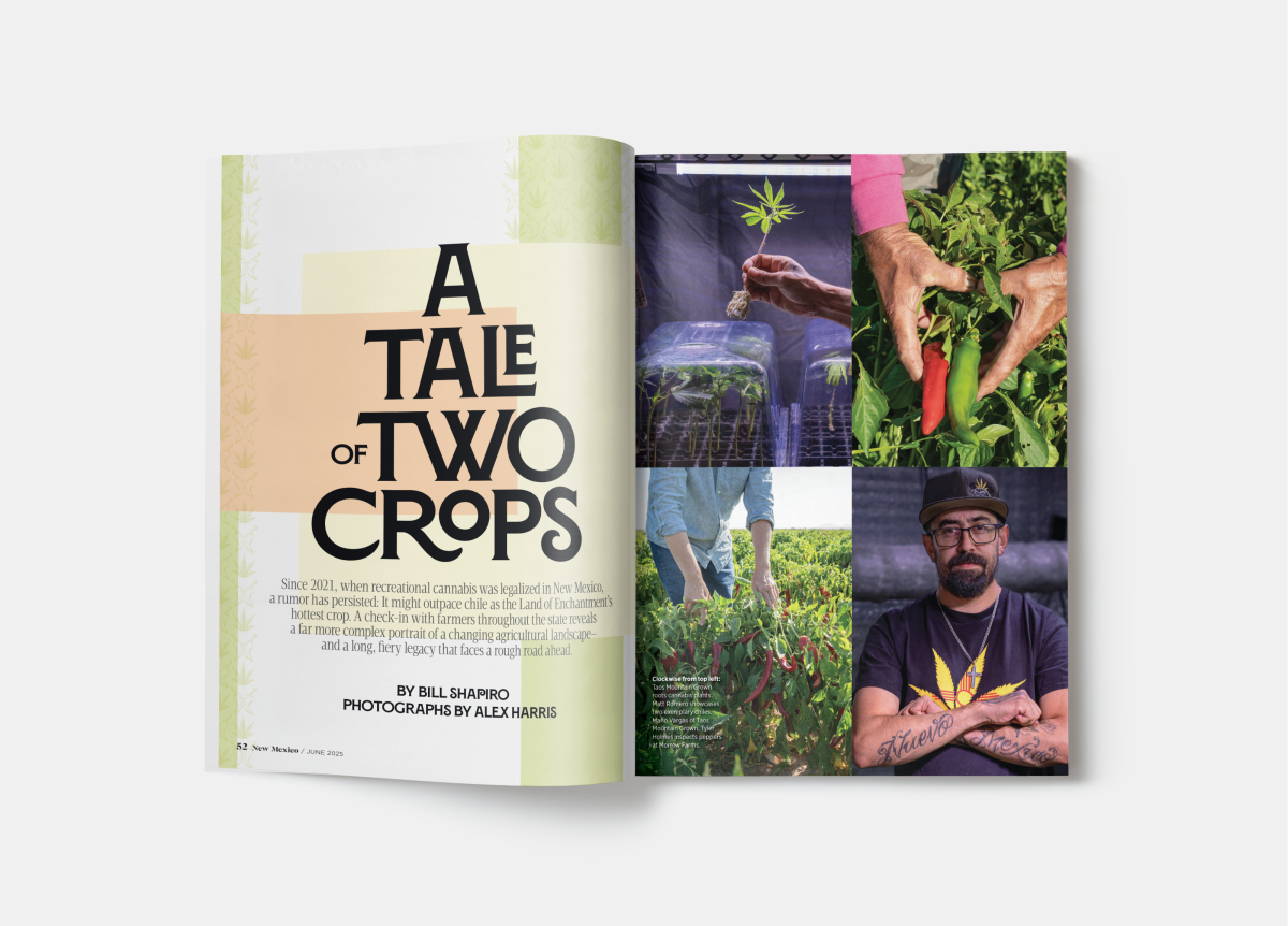 Magazine spread titled “A Tale of Two Crops” with photos of plants, hands harvesting, and a person in a field.