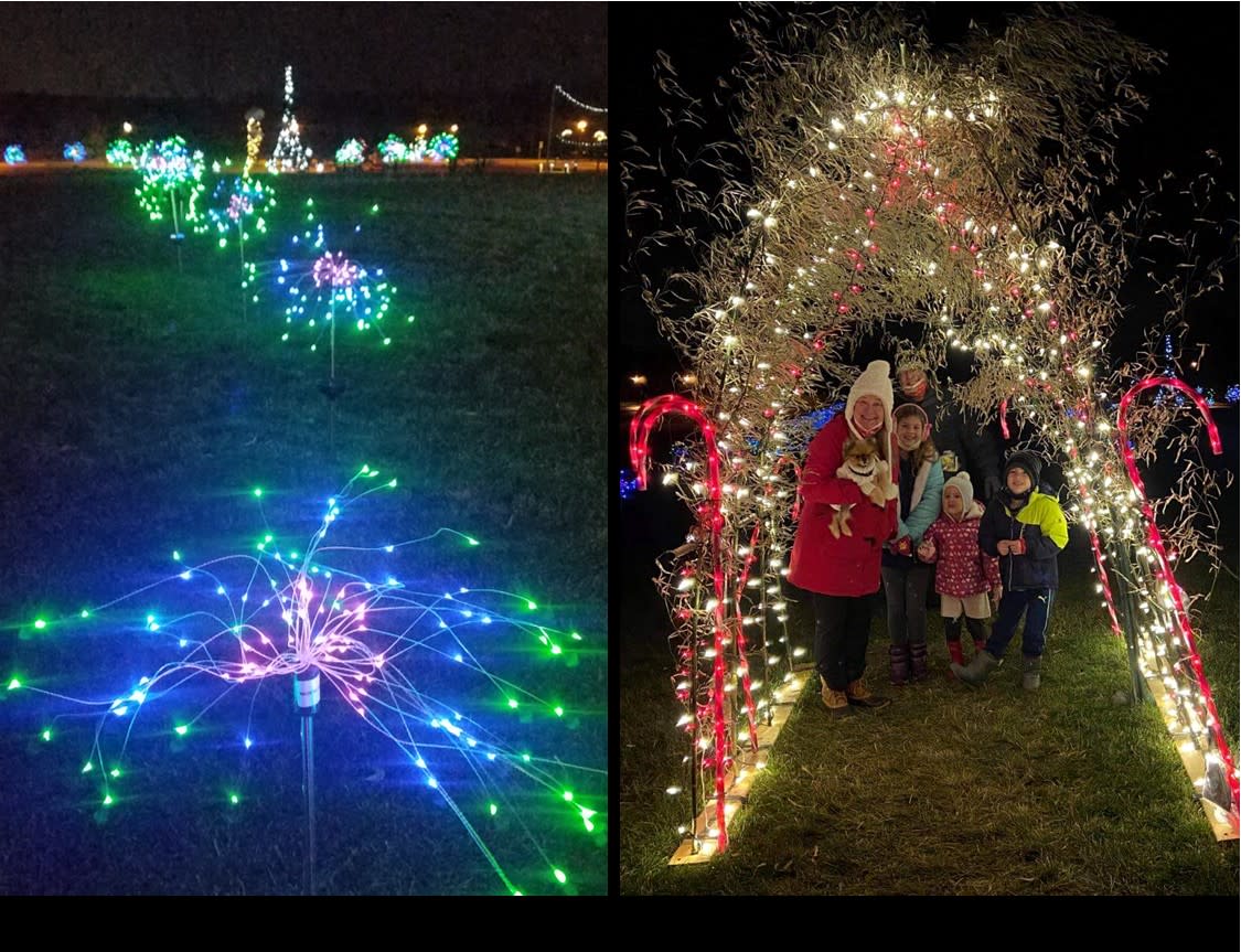 Two side by side photos of lights and a family standing next to a lighted tree during Franklin Parks Winter Light Walk