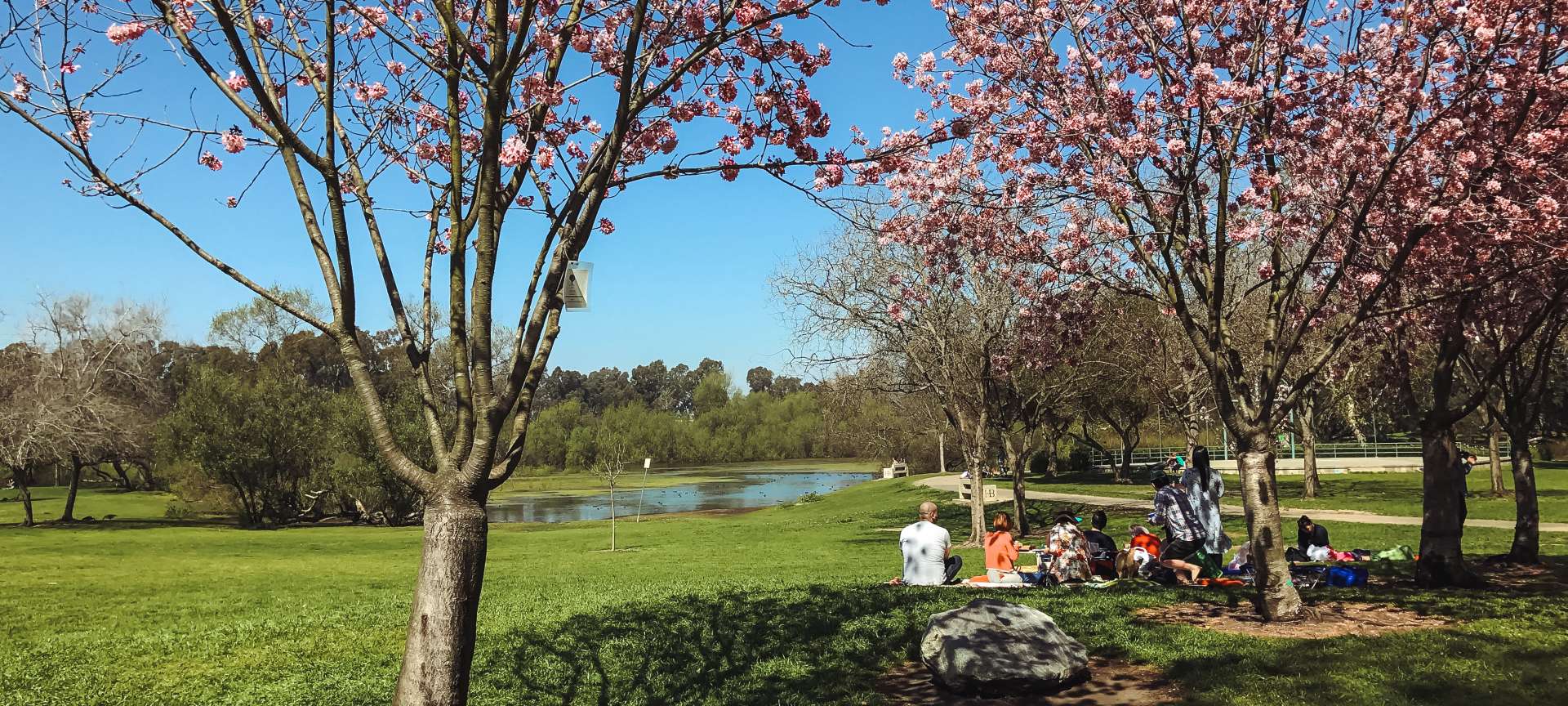 Central Park Huntington Beach