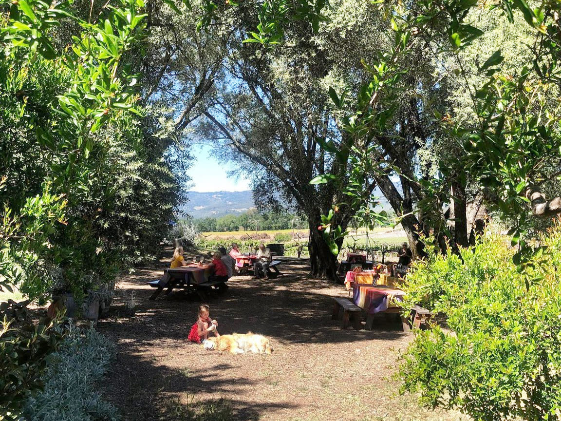 Guests seated at shaded outdoor tables beneath large umbrellas in a Napa Valley winery garden.