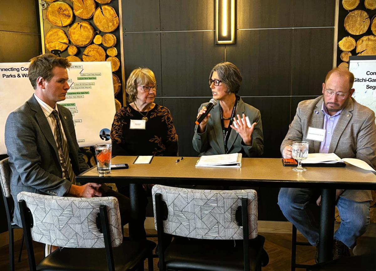 Cook County Government Listening Session Legislative Luncheon