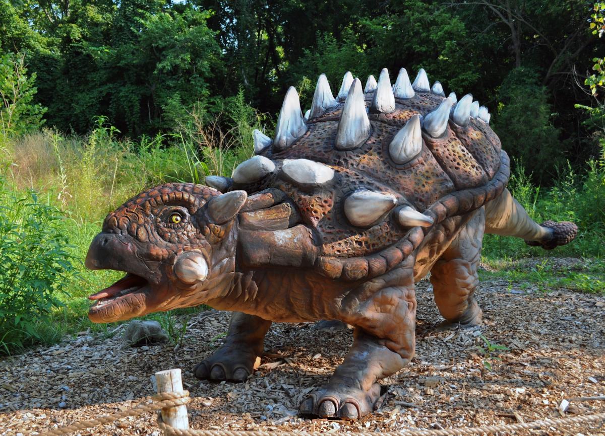 A model of a Euoplocephalus dinosaur with a heavily armored body and large white spikes on its back, posed in a defensive stance in a forested setting.