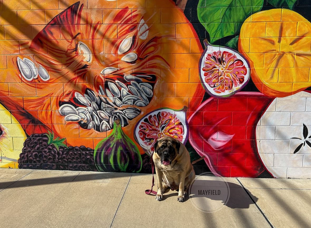 hector fruit mural florence