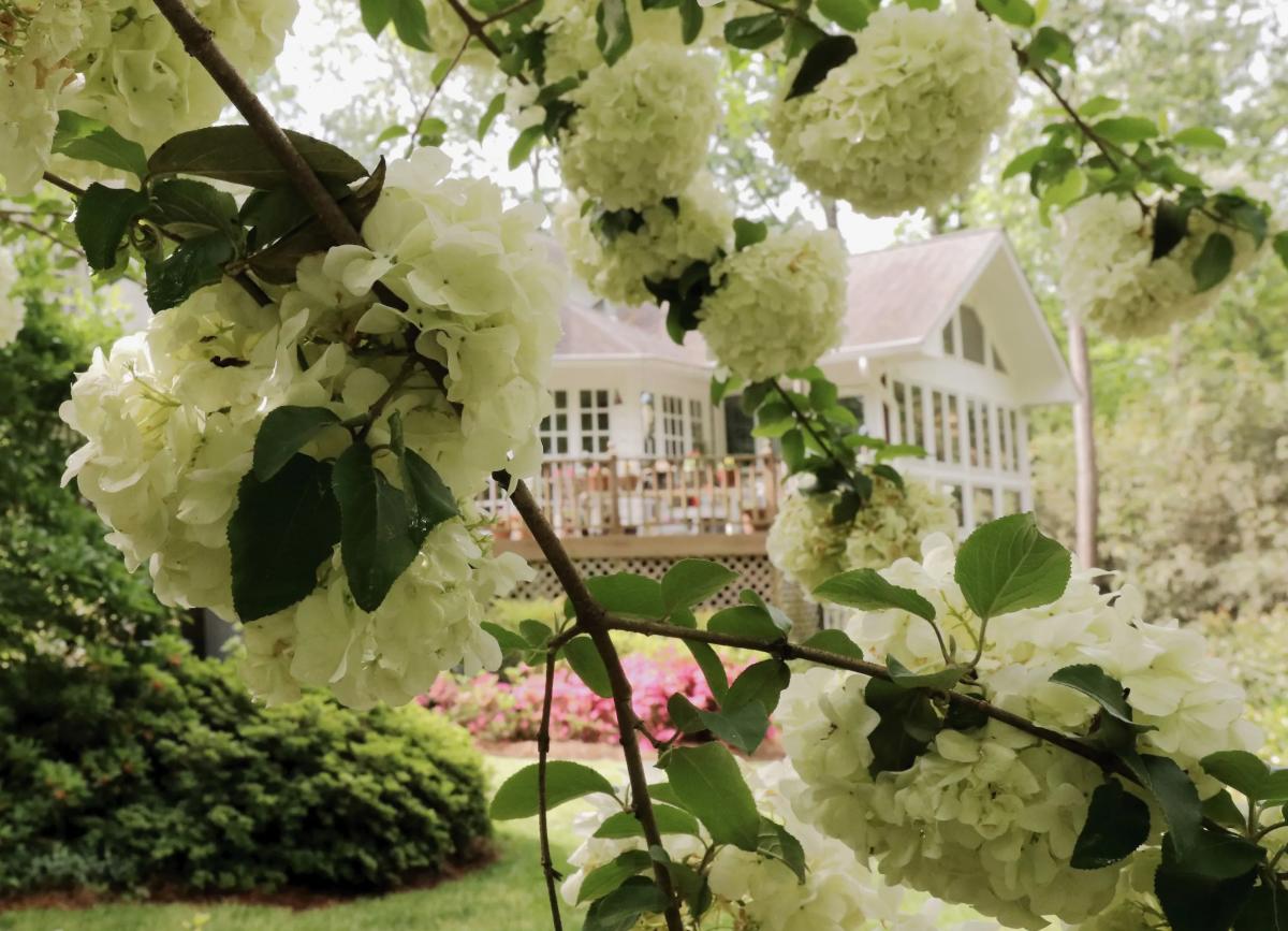 Chapel Hill Garden Tour - Baddour Garden