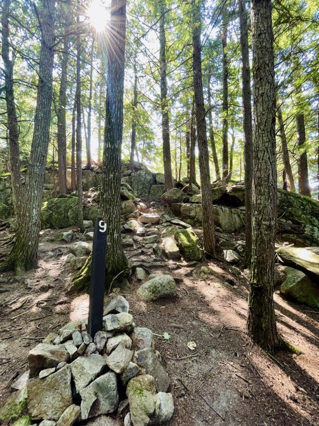 Boulder Loop Trail: Trail Junction at Summit