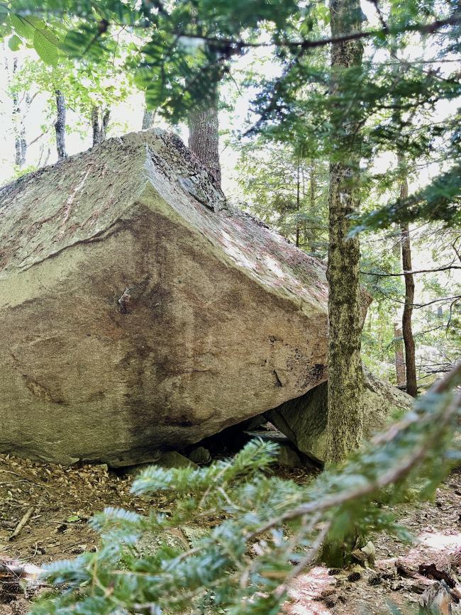 Boulder Loop Trail: Large Boulder with Tree Branches