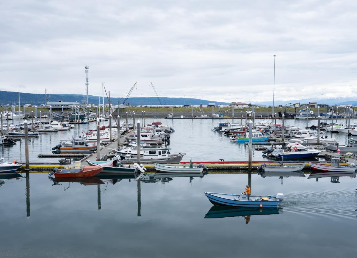 A photo of the Homer Harbor in the slower season while a boat powers by.