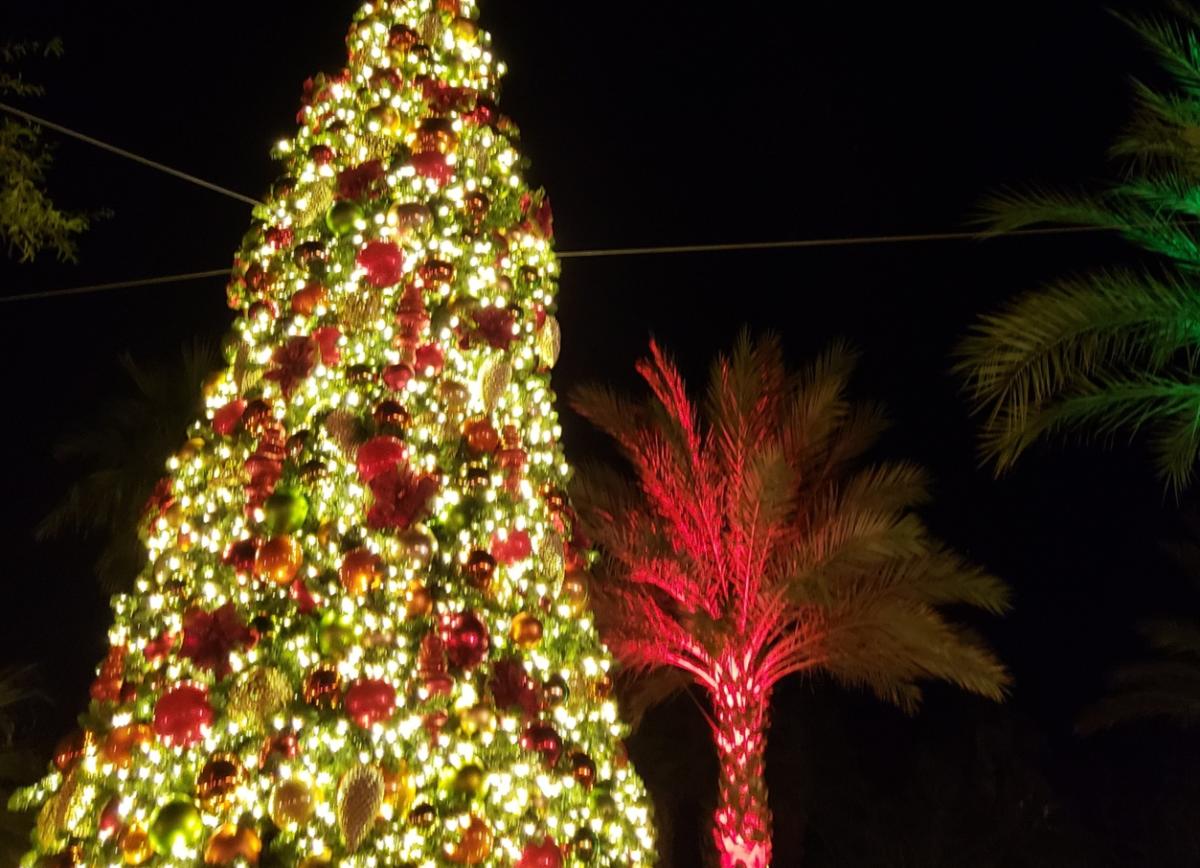 chinese new year palm springs