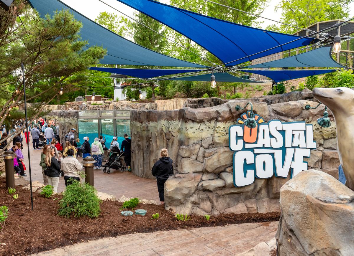 Visitors view sea lions and harbor seals through large glass panels at the Coastal Cove exhibit at the Fort Wayne Zoo, featuring shaded walkways and rock formations.