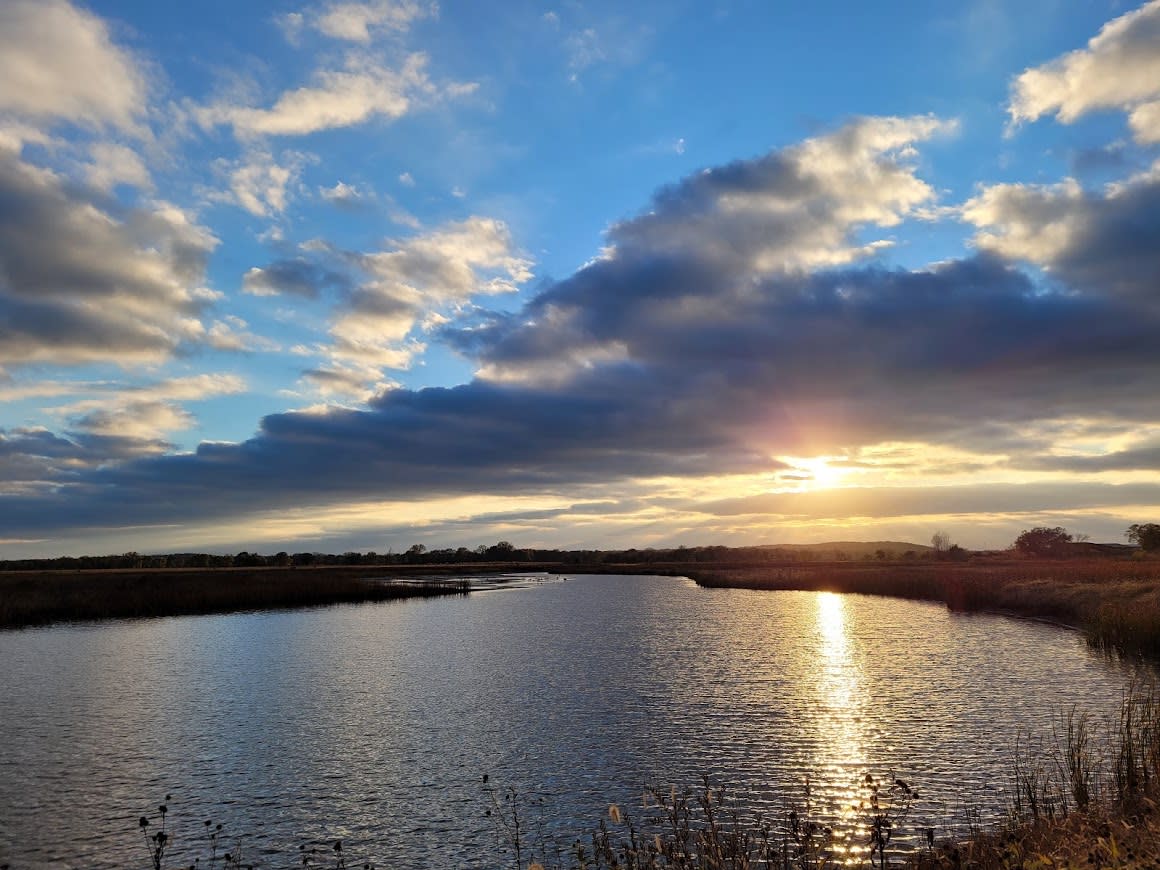 Baker Wetlands