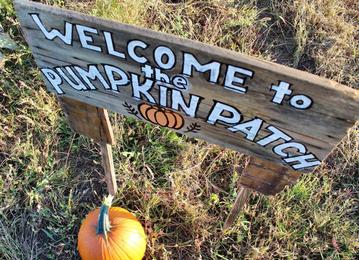 Welcome to the Pumpkin Patch sign