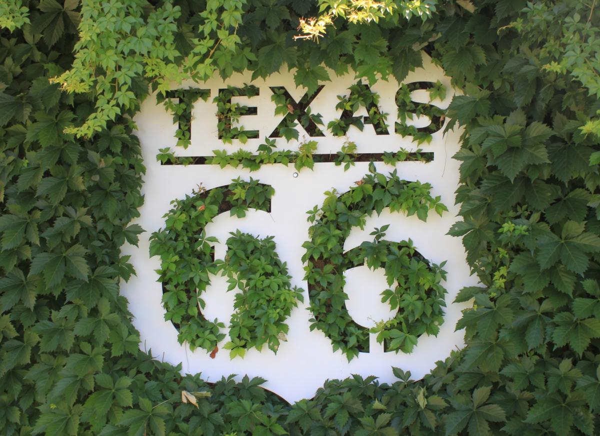 Route 66 sign with ivy growing through it