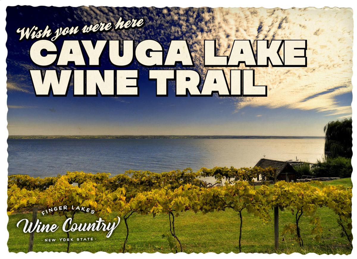 Cayuga Lake Wine Trail Travel Guide