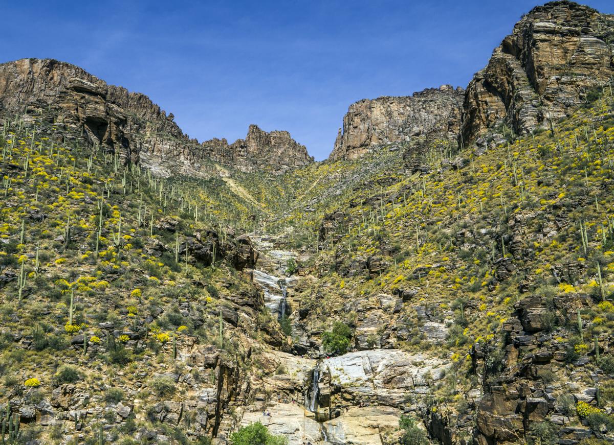 high walled canyon scaled with bright yellow brush, green bushes, and cacti. In the center of the canyon appears 7 stacked waterfalls (Seven Falls) that connect leading down the canyon