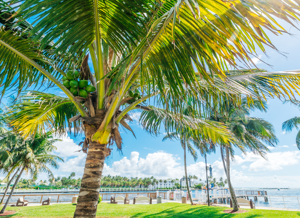 Hillsboro Inlet