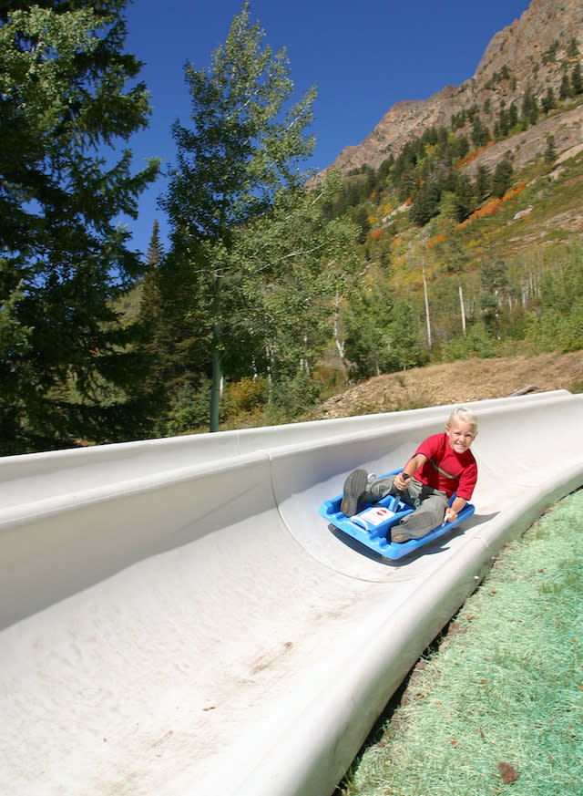 Alpine Slide at Snowbird