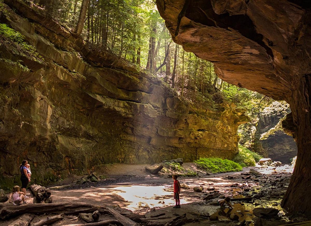 Turkey Run State Park