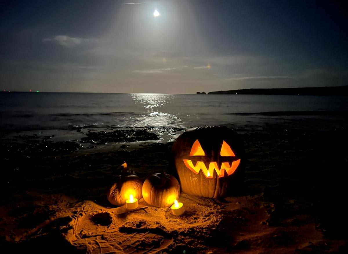 Studland's Wicked Wildlife Trail