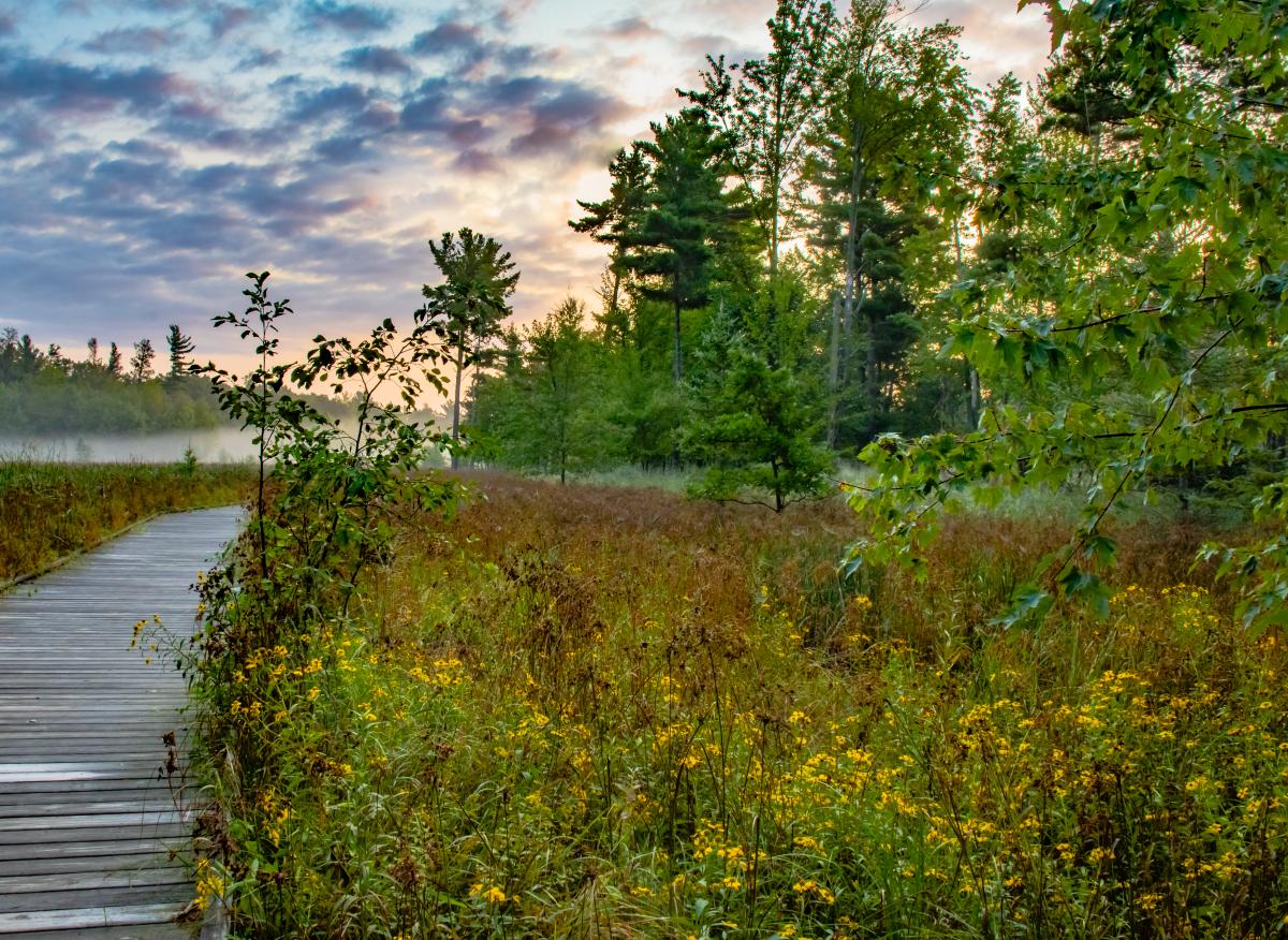 Schmeeckle Reserve