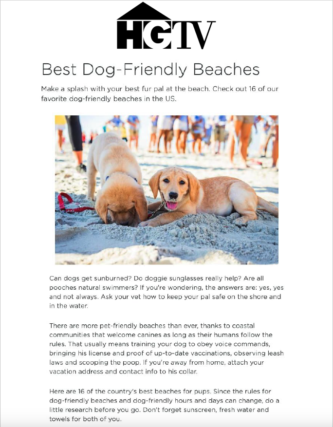 HGTV Best Dog-Friendly Beaches Cover