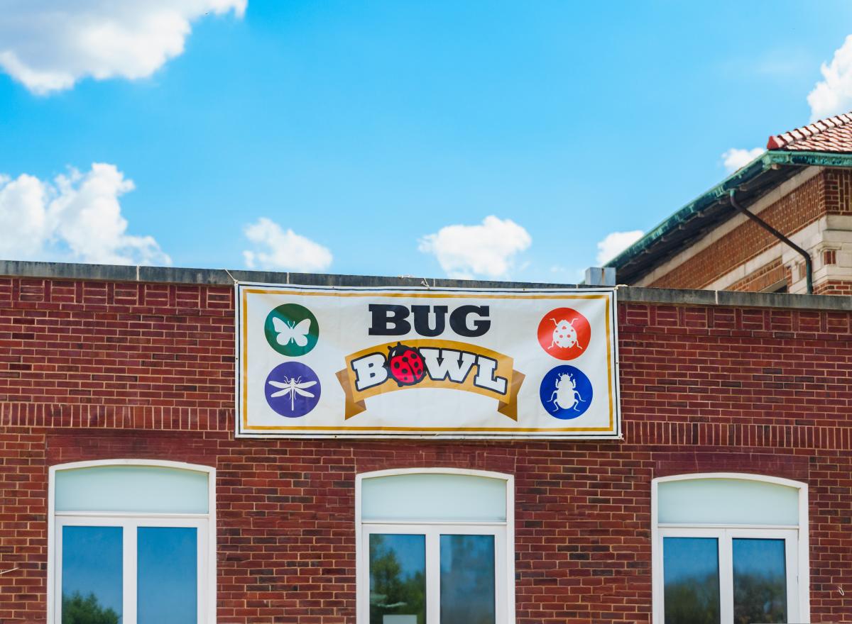 Bug Bowl banner at Spring Fest
