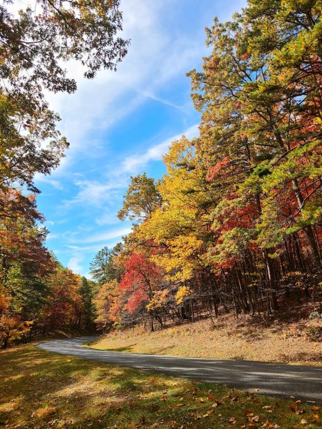 Fall Foliage - Blue Ridge Parkway - Virginia