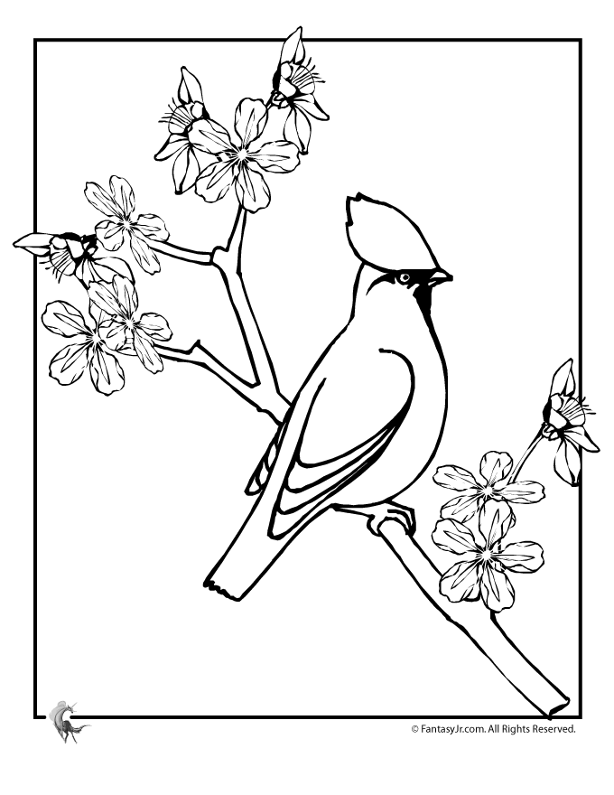 Cherry Blossom Coloring Page 6
