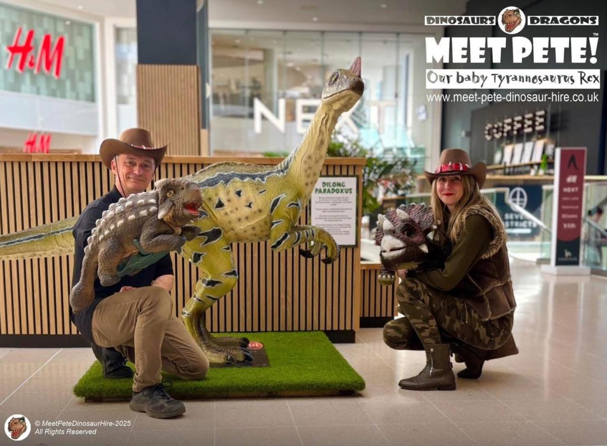 Image shows a picture of the Lincoln BIG Dino City.