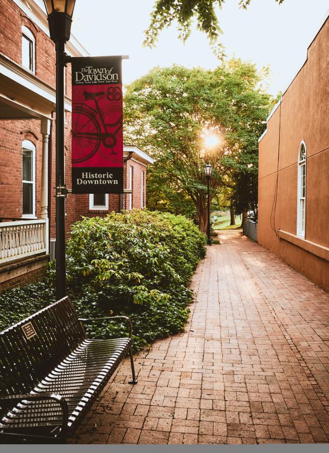 Alleyway With Bench And Bushes In Downtown Davidson, NC