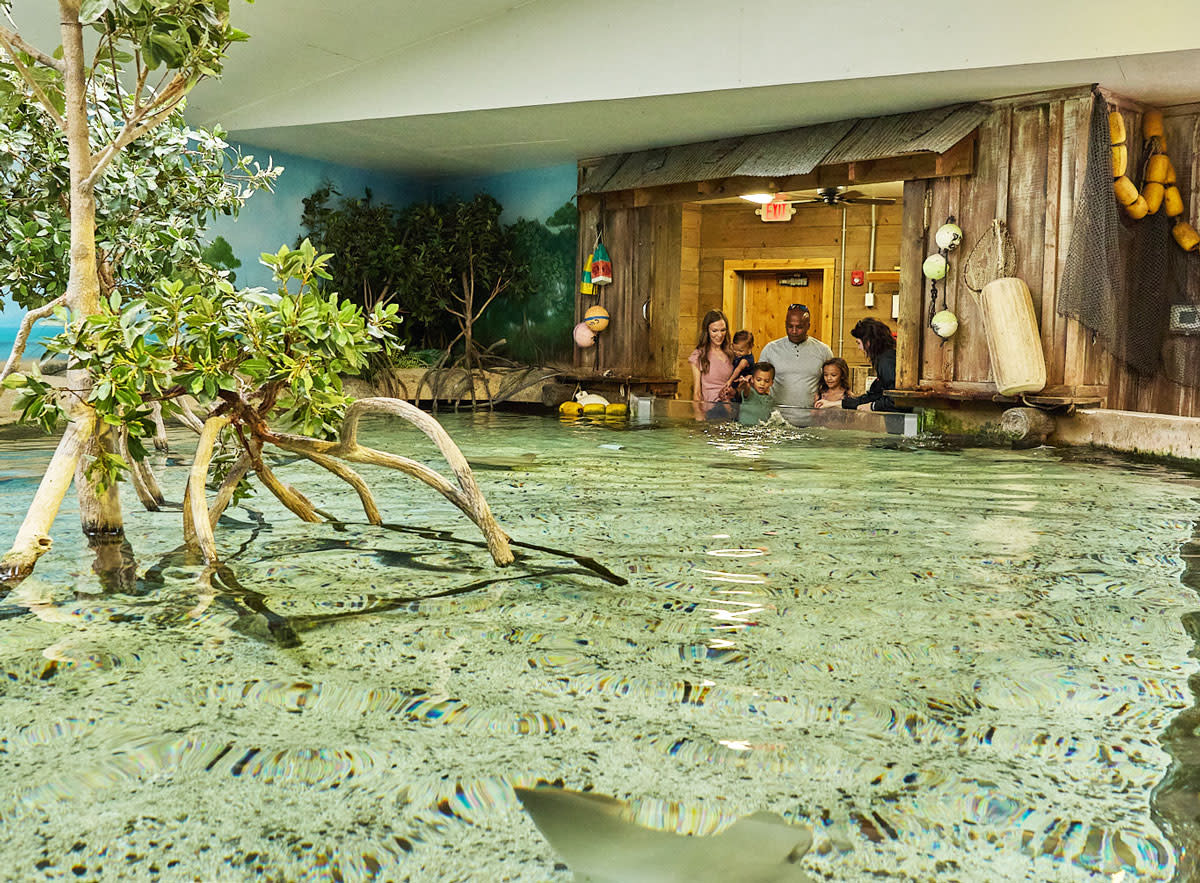 Family feeding stingrays at the Fort Wayne Zoo