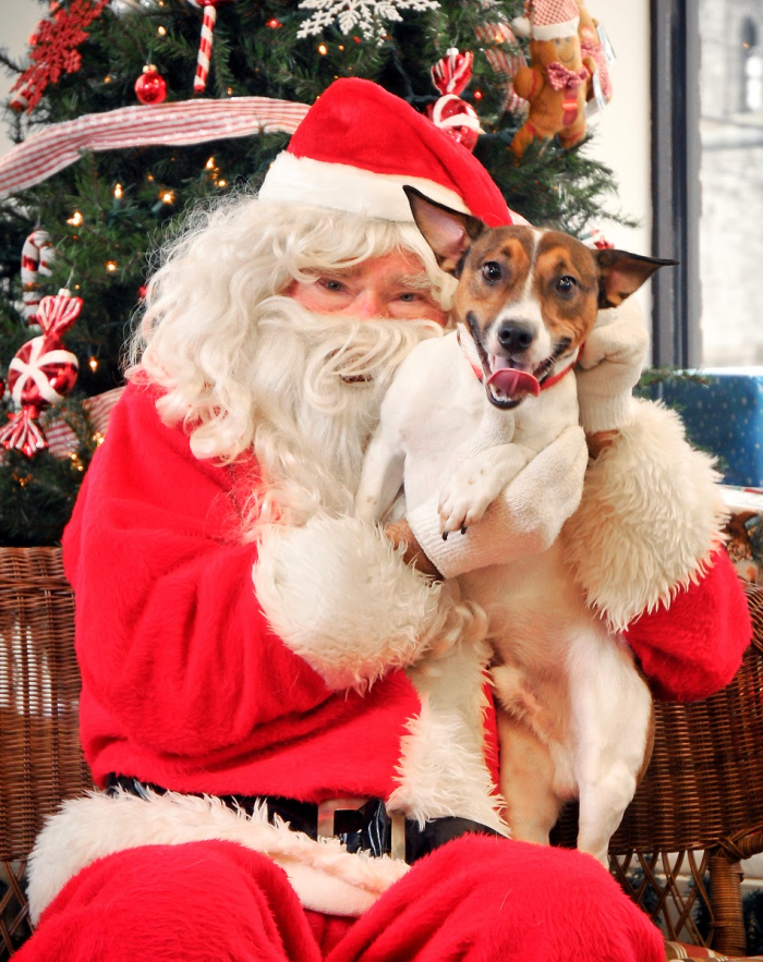 santa with dog