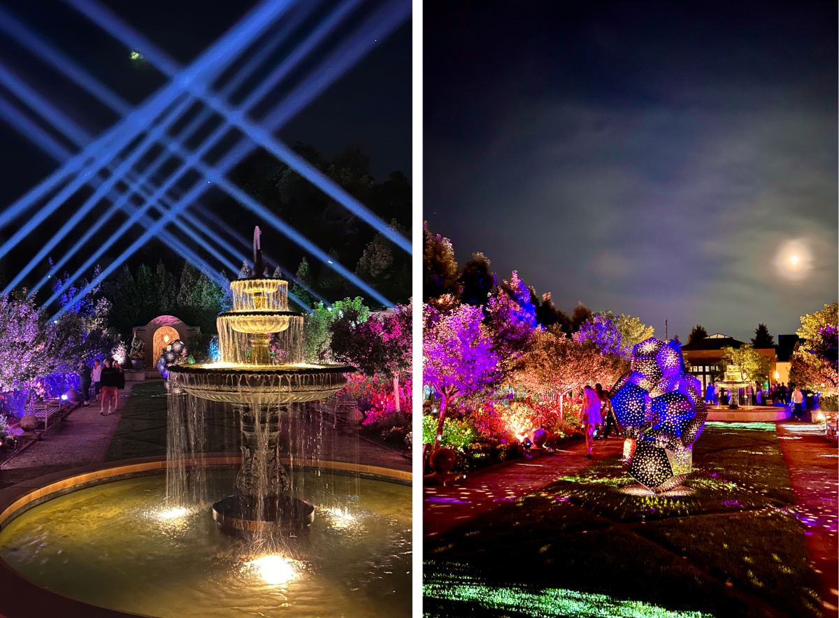 The Nature of Light Exhibit at the Paine Art Center and Gardens in Oshkosh, WI.