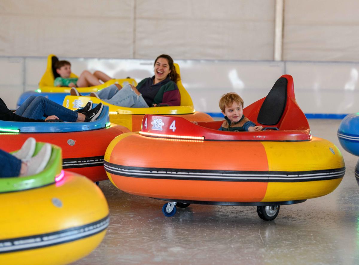 Bumper Cars