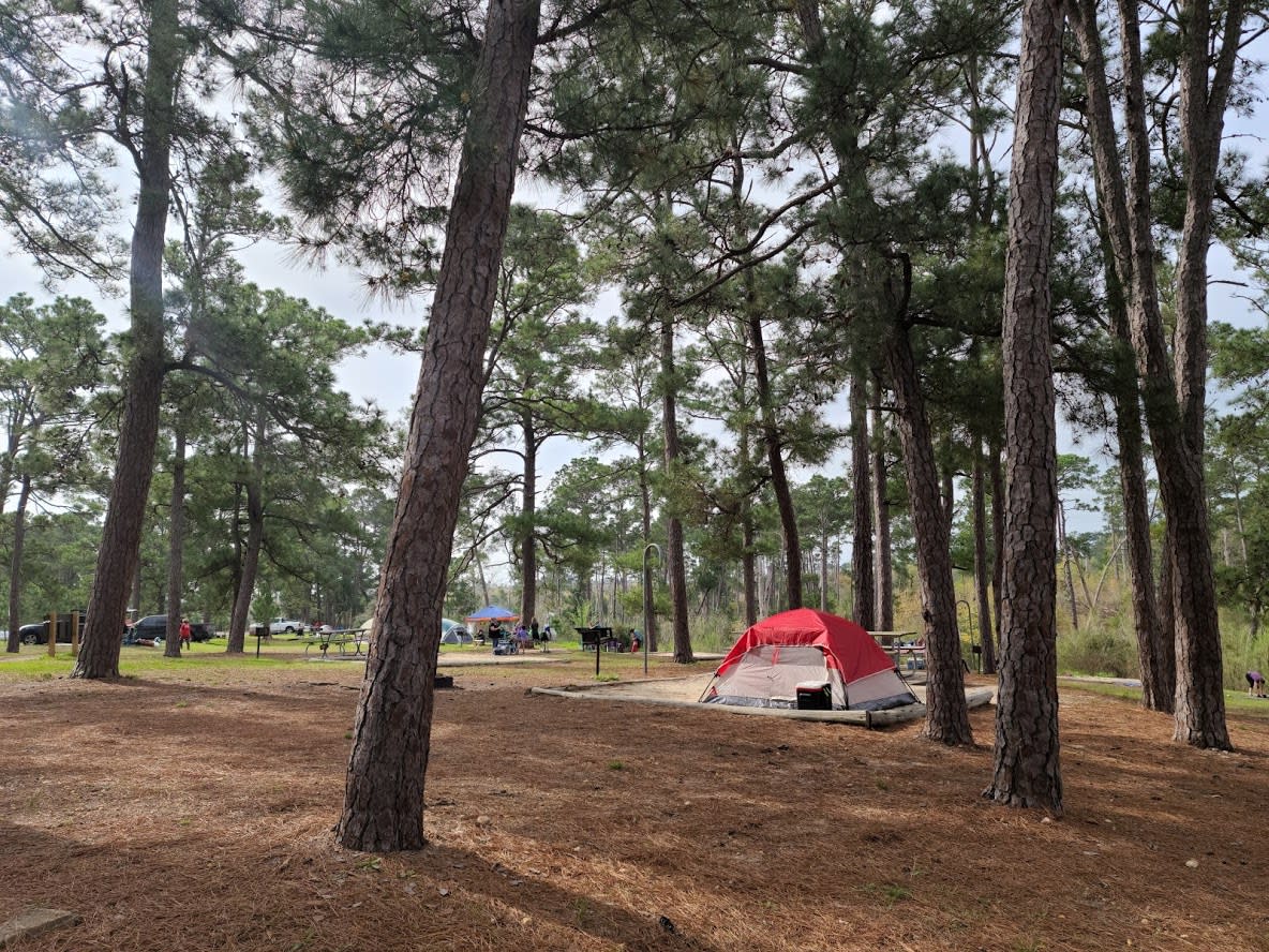 Bastrop State Park Camping