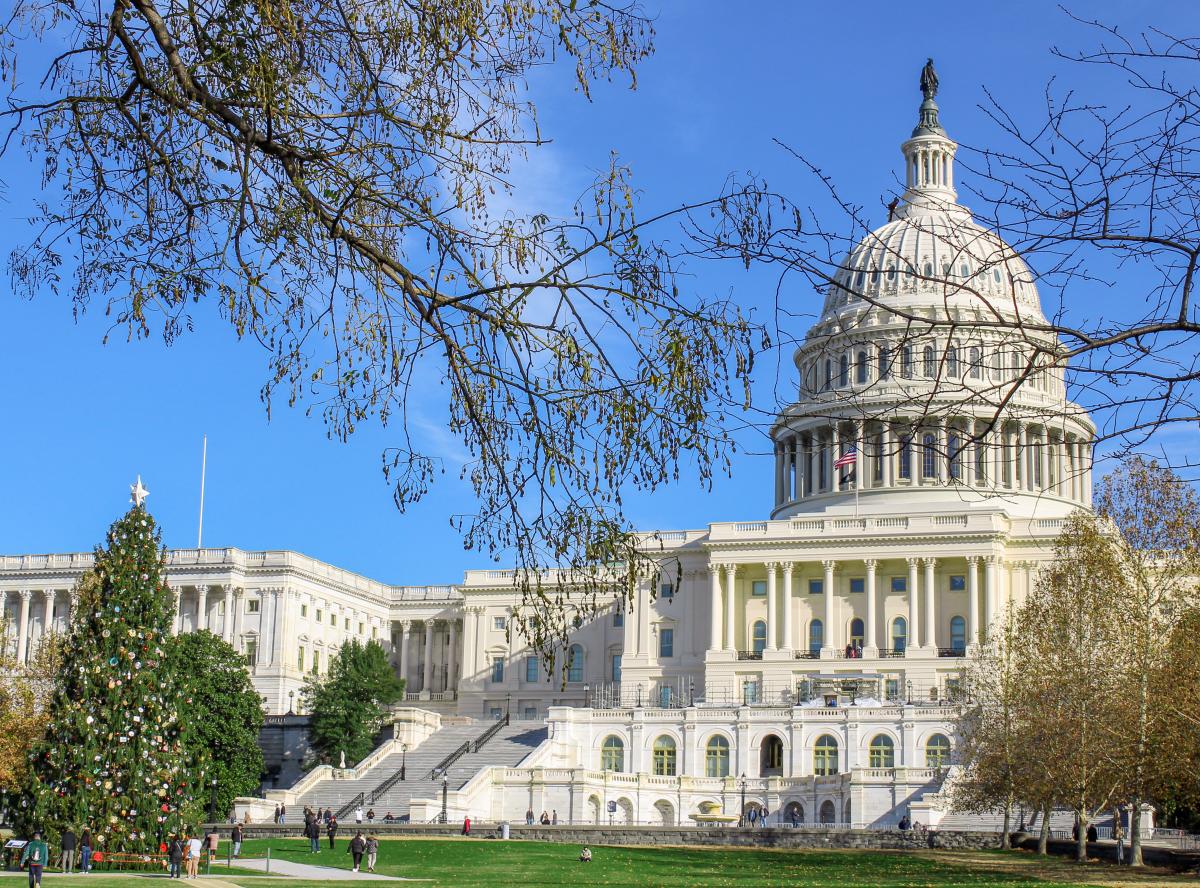 Capitol - Holidays - Washington DC - Cami