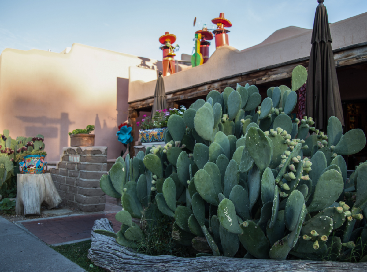 Exterior of the Church Street Cafe in Old Town Albuquerque