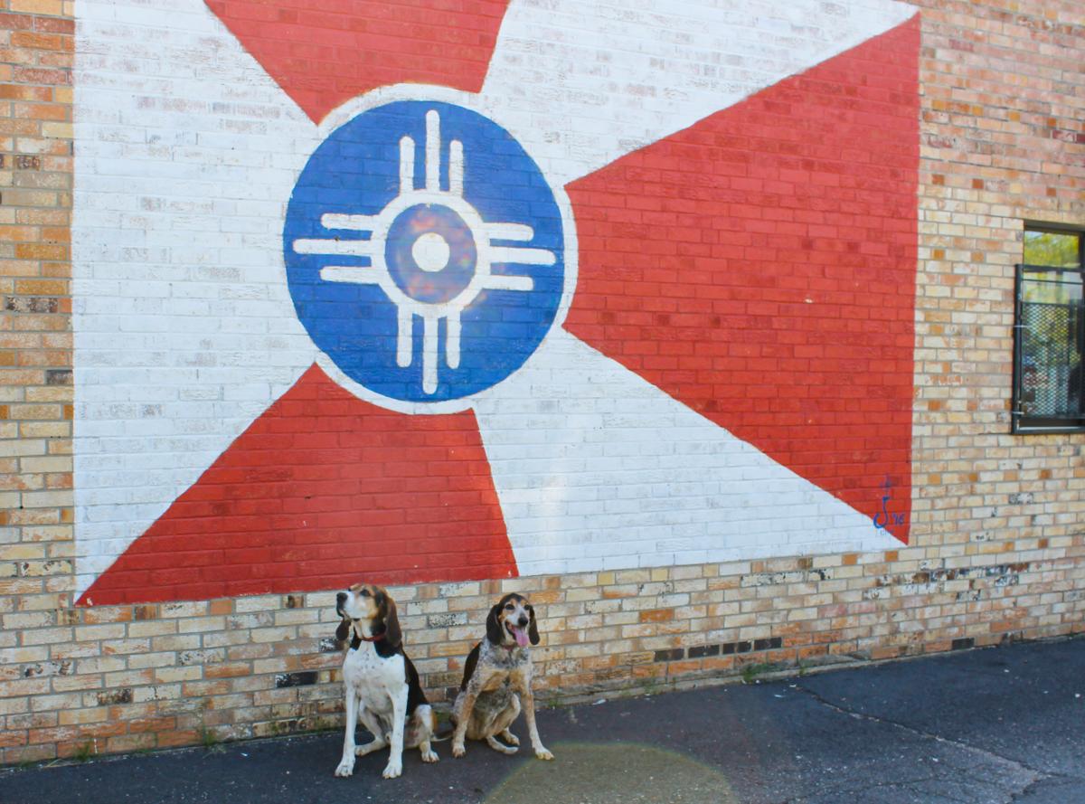 Two dogs pose next to a Wichita flag mural painted on the side of a building