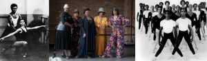 Swans of Harlem