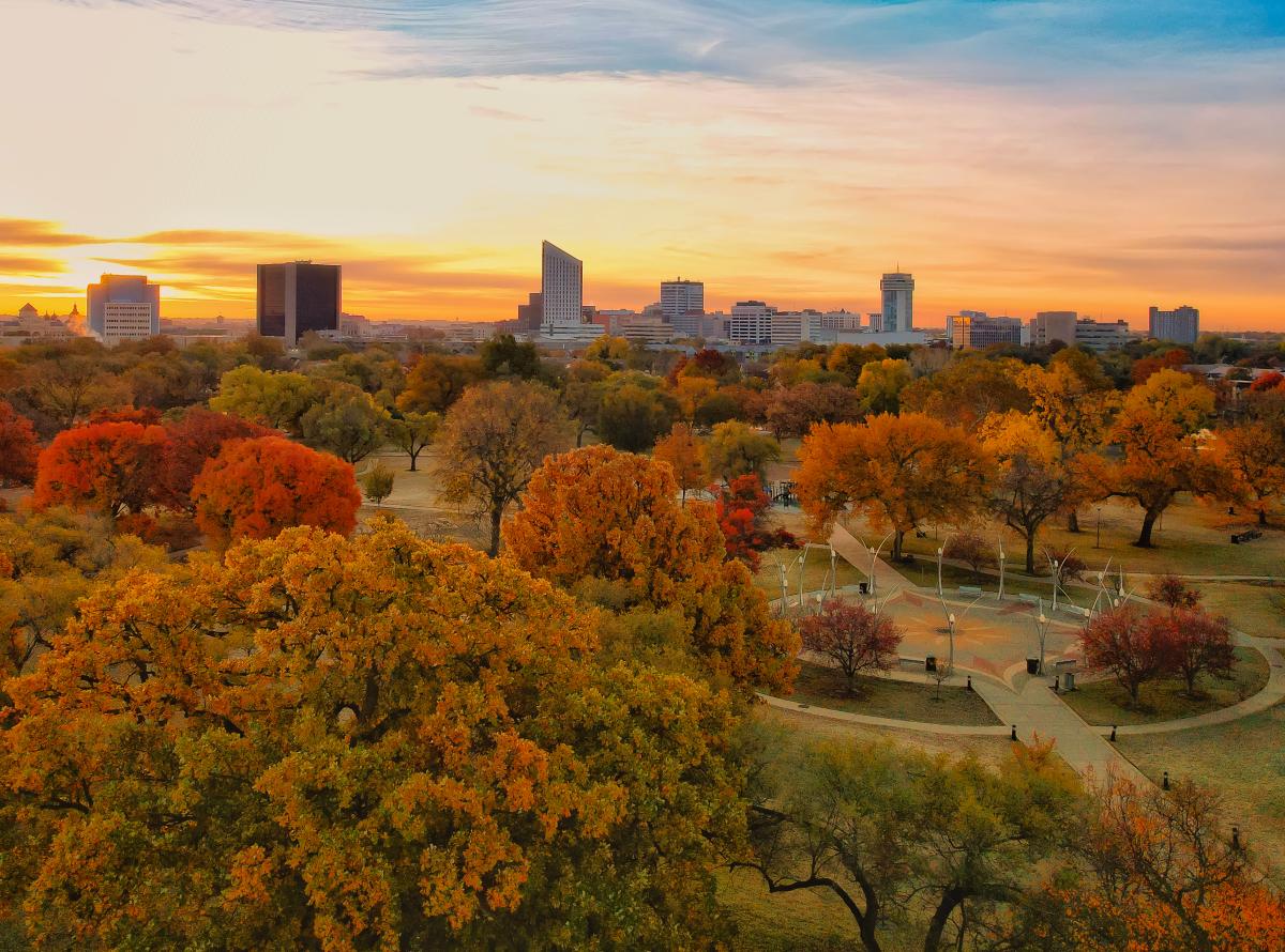 The leaves on the trees near downtown Wichita have turned colors of red, yellow and orange