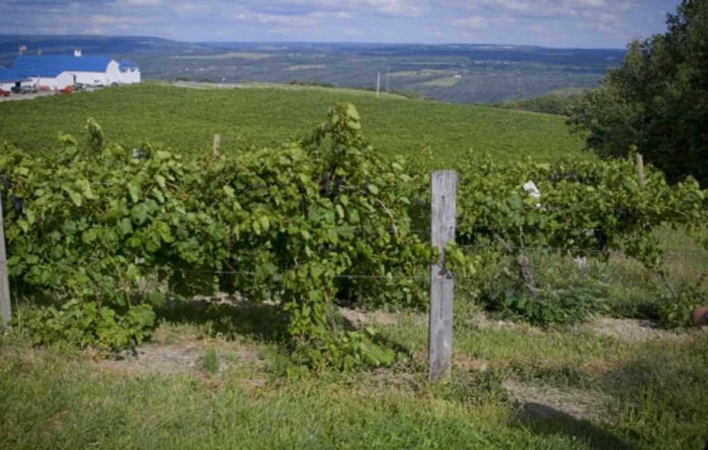Bully Hill_Corning & The Southern Finger Lakes